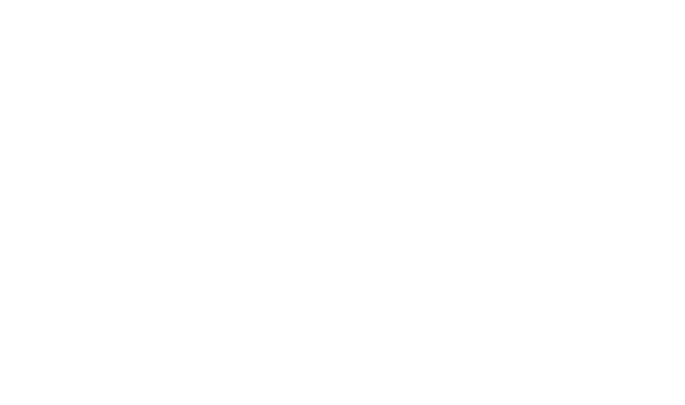 New Essension